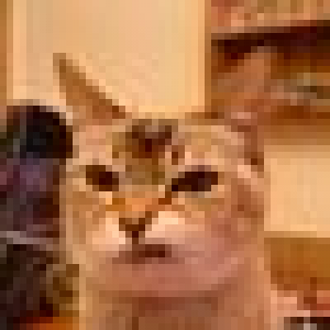user-image
