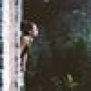 user-image