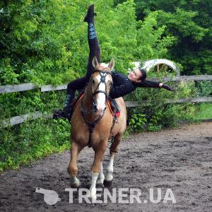 trainer-avatar