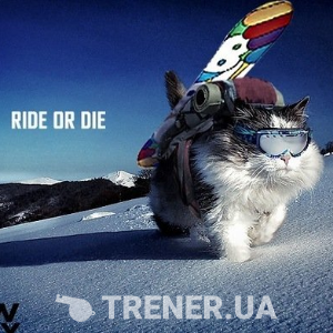 trainer-avatar